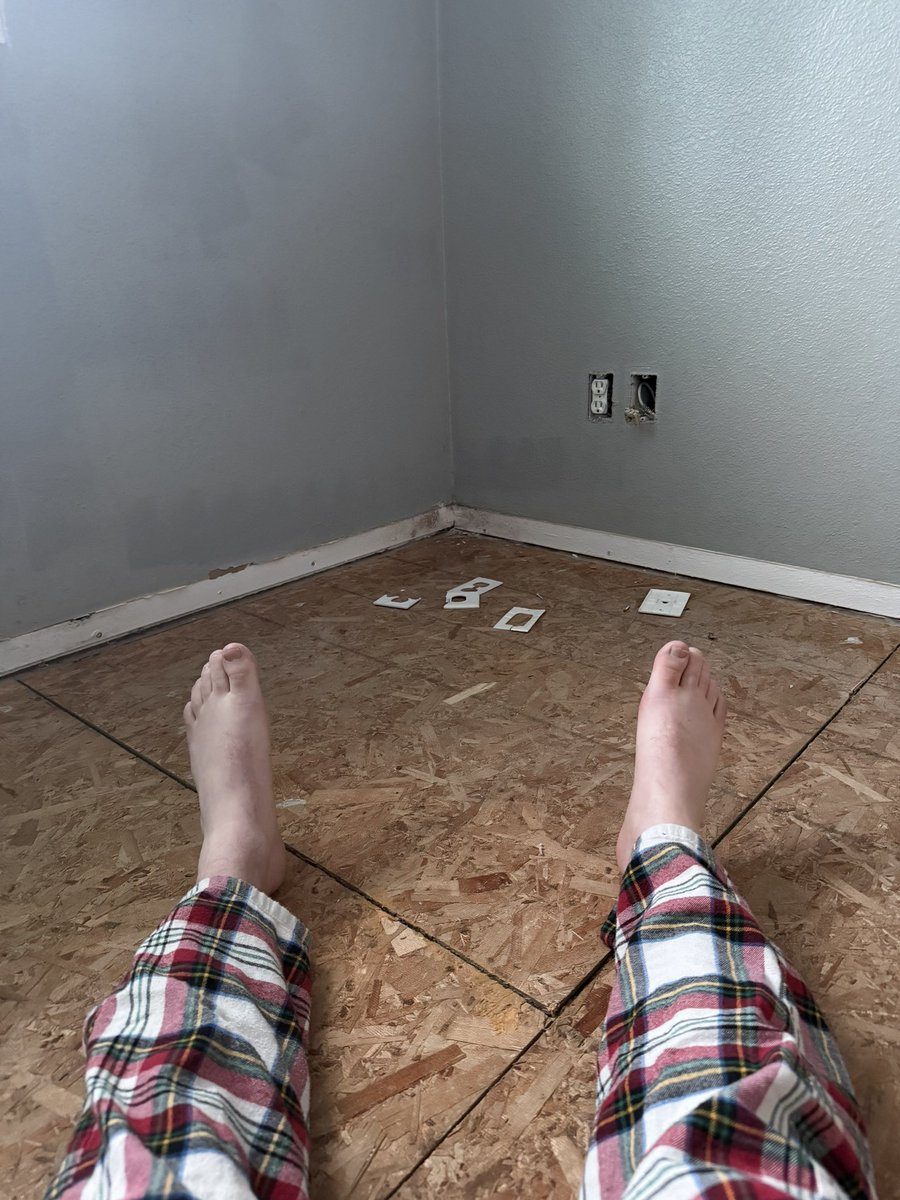 Lemondog tweet media