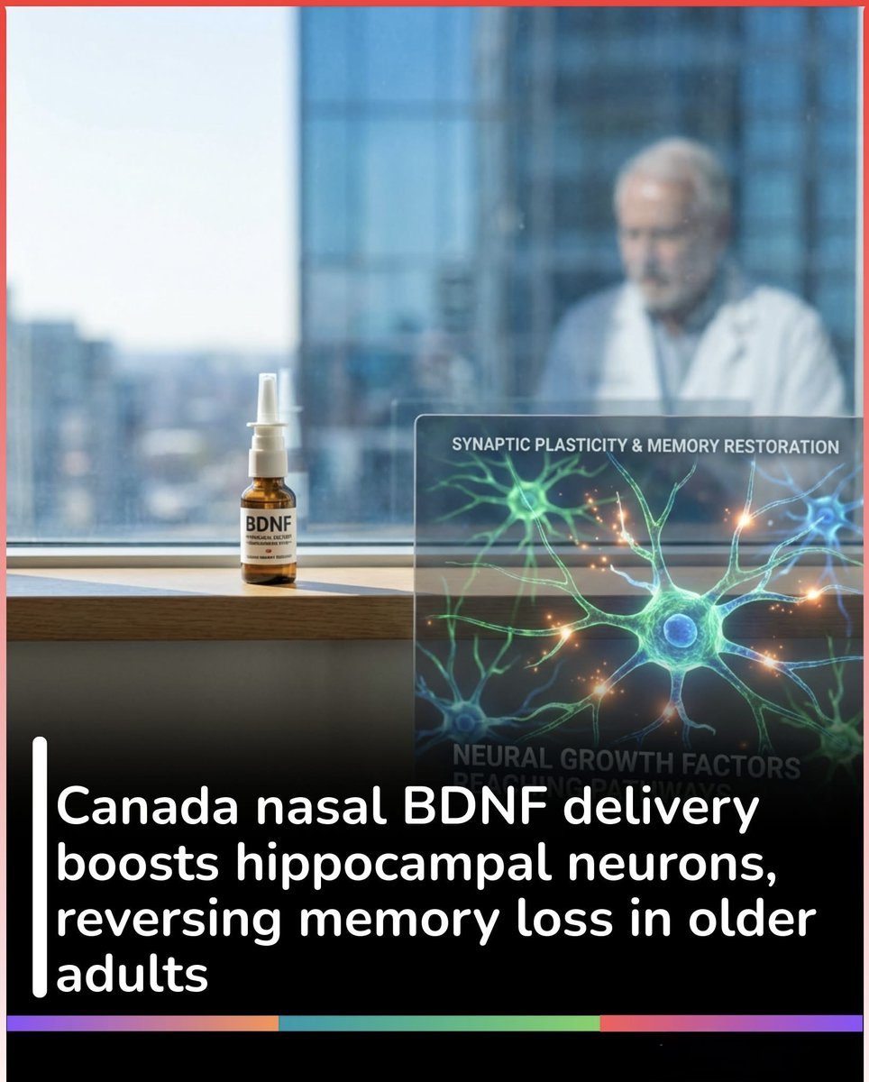 Sniff Study 🚨 A Tiny Spray, A Huge Memory Breakthrough! A simple nasal spray might ...