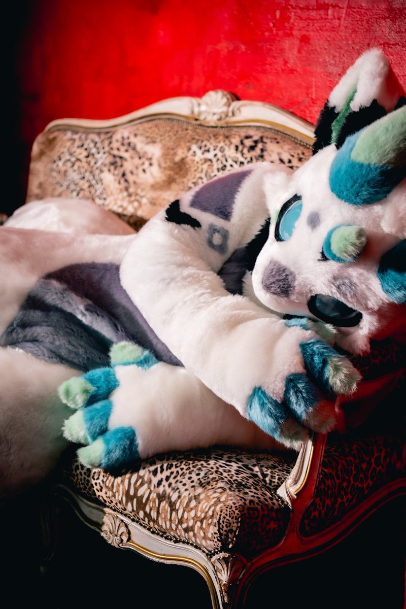 フロストの旦那🔜関ケモ tweet media