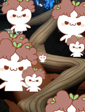 麦旋风 tweet media