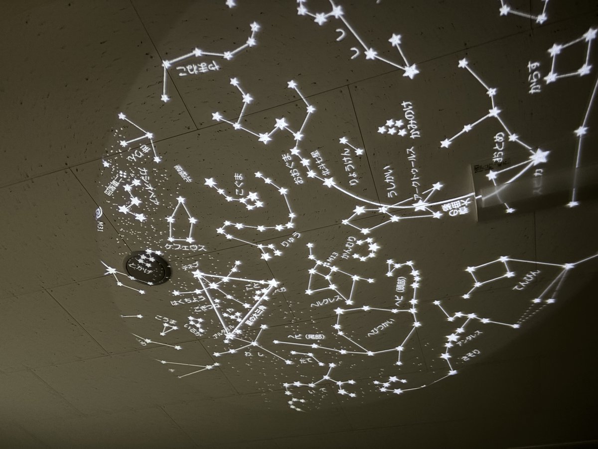 サイティ@日々理科楽し tweet media