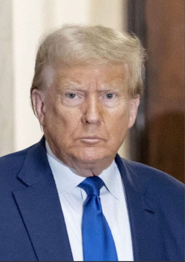 ゴリラBuzz🦍 tweet media