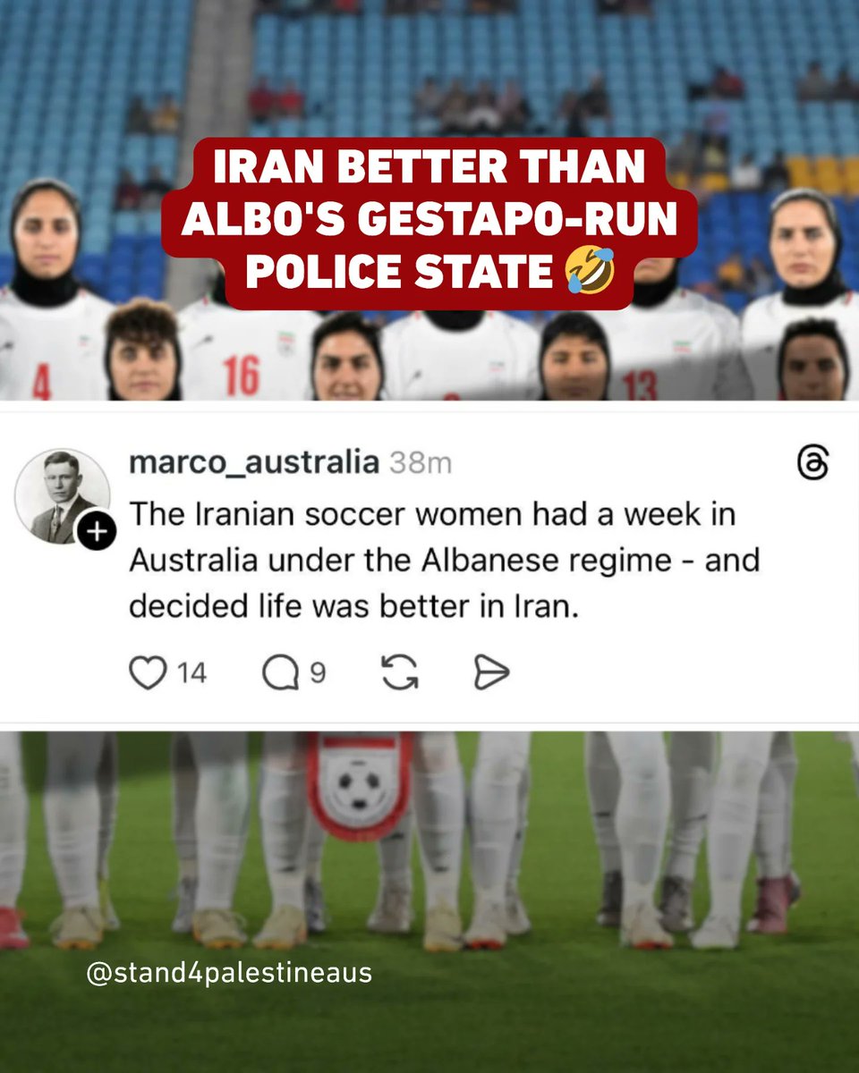 tim anderson tweet media