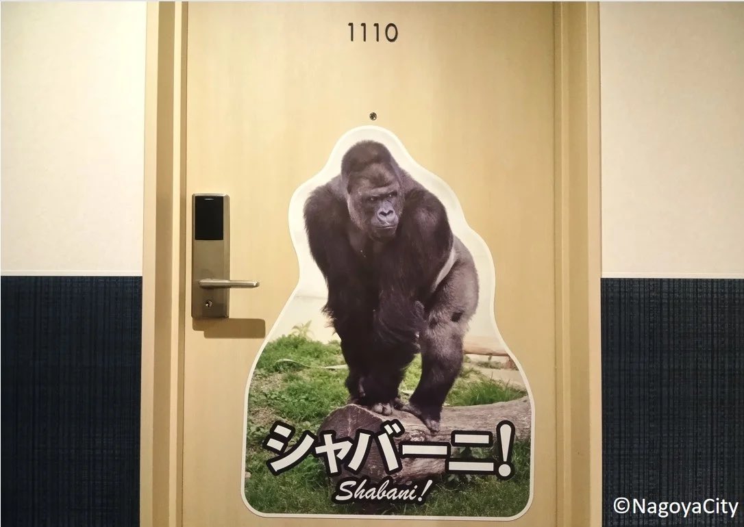 おいでよ名古屋@おいなご tweet media