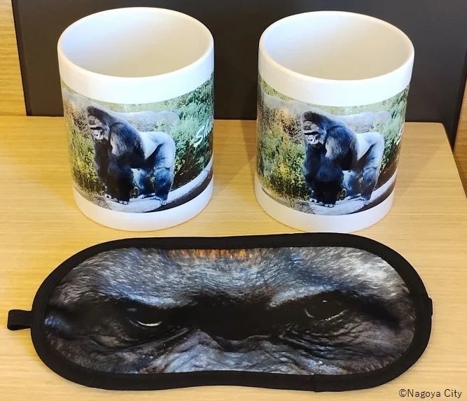 おいでよ名古屋@おいなご tweet media