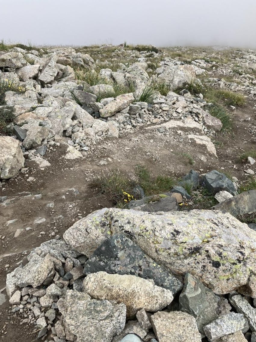 Maksim Subota tweet media