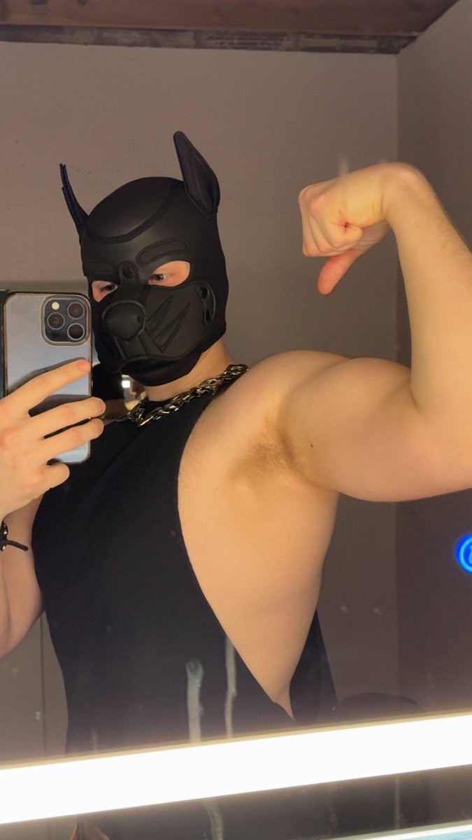 @PupDodger :3 tweet media