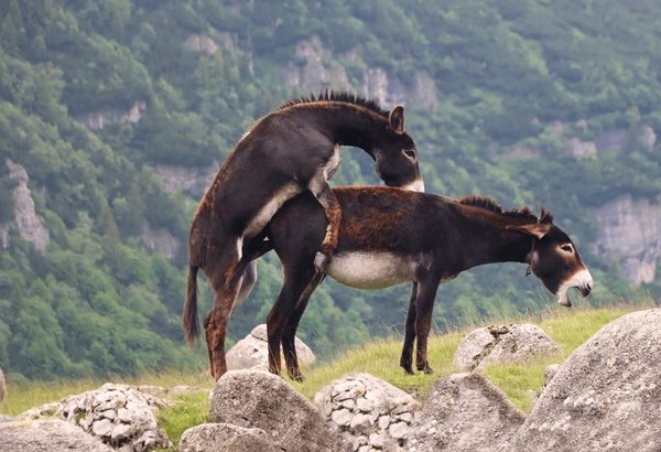 Moe Lava tweet media