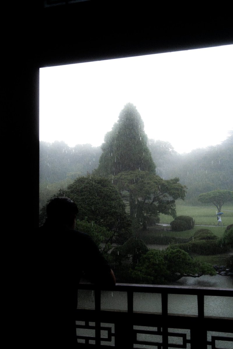 2023년의 초록색들