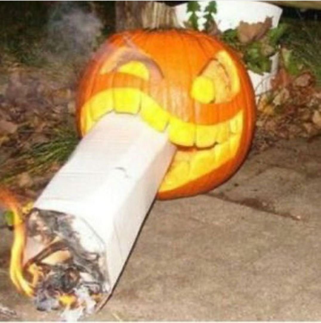 PumpCi 🎃🚬 tweet media