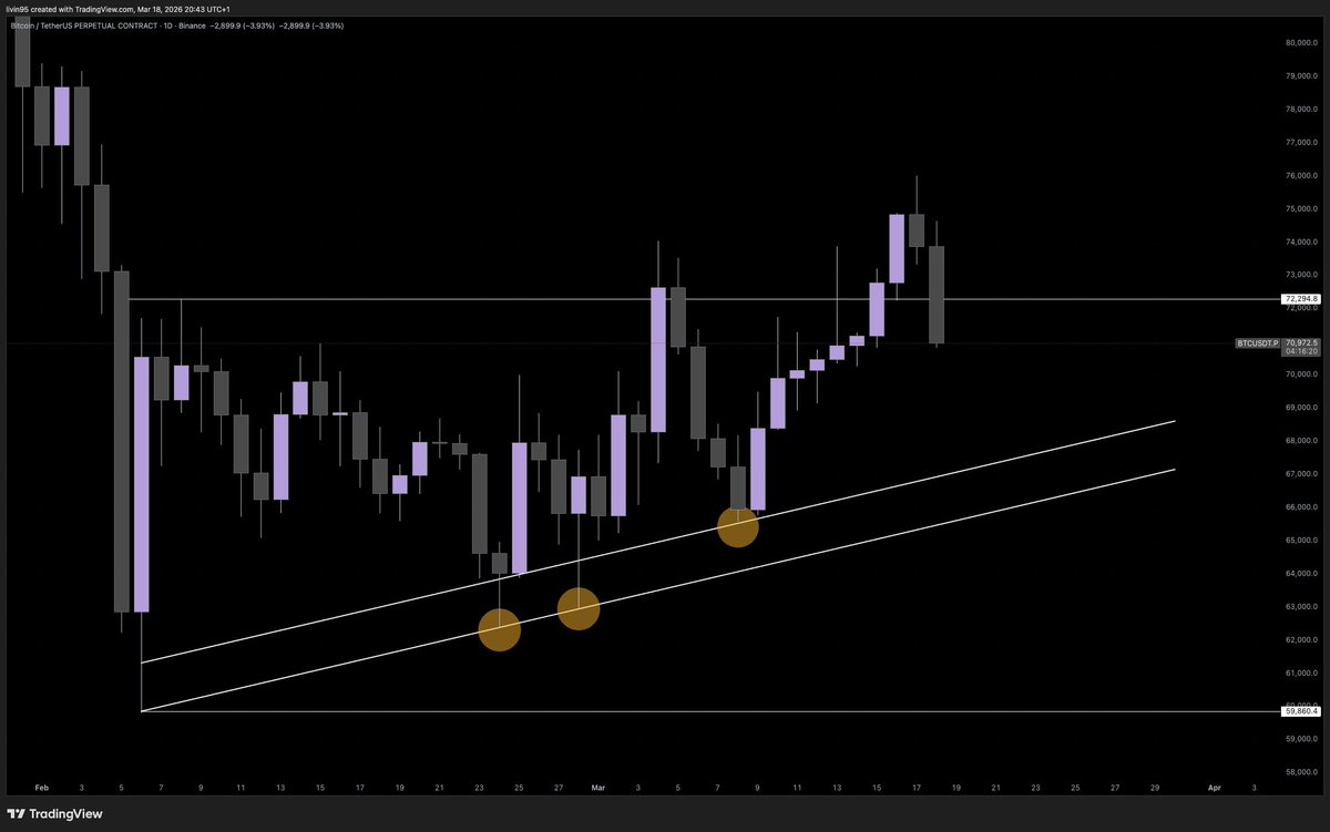 LivinOffTheGrid tweet media