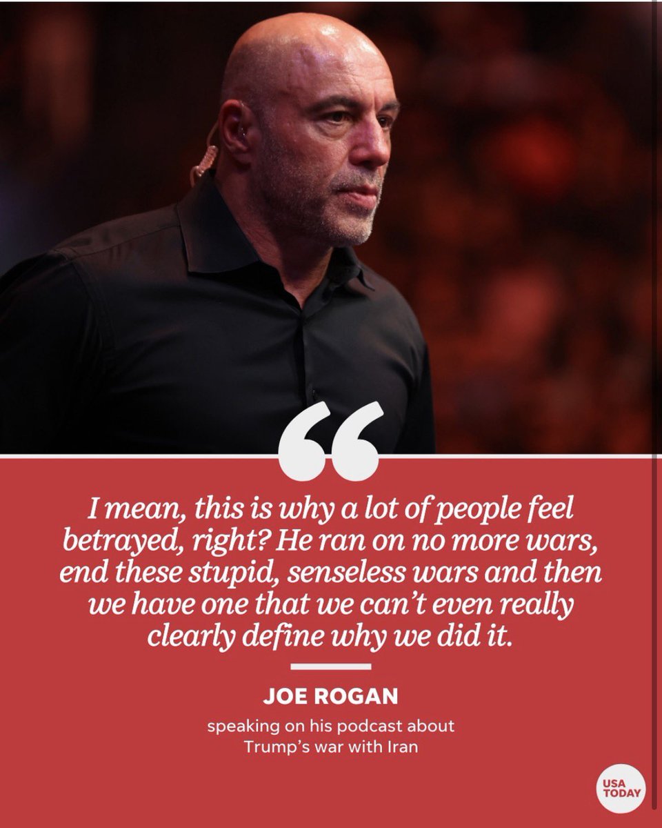 Mango Maniac tweet media