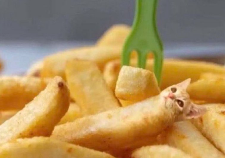 silly norwood tweet media