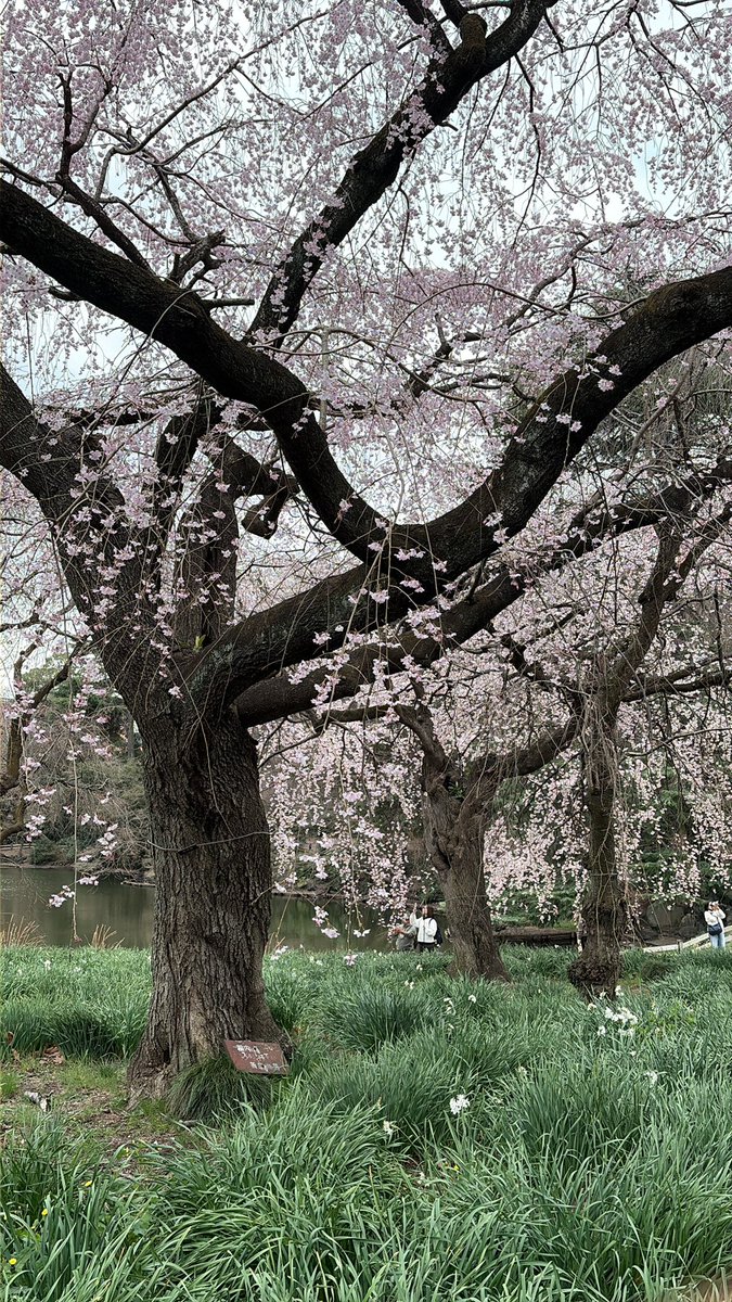 Tom Mullaly💧Life Expansion tweet media