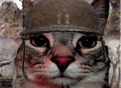 Ecksehrin tweet media