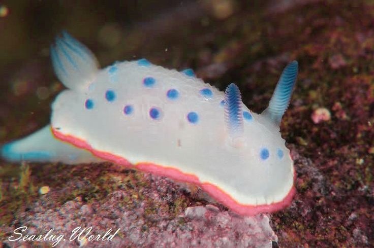 Kyryll Flins tweet media