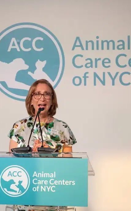 Wynjym's tweet photo. @tomsland_ 🆘THIS #MURDER AT @NYCACC WAS LED BY RISA #WEINSTOCK🆘THIS IS PUBLIC #TAXES STOLEN FROM #ANIMALS W/C WERE TO BE USED TO HELP NOT #SLAUGHTER‼️NEW MANAGEMENT IS NEEDED‼️
@GovKathyHochul @senatorhinchey @NYSenate @NYCMayor @NYCCouncil @SpeakerMenin @NYCHealthCommr @donnalupardo https://t.co/Wh4FSAQuFz