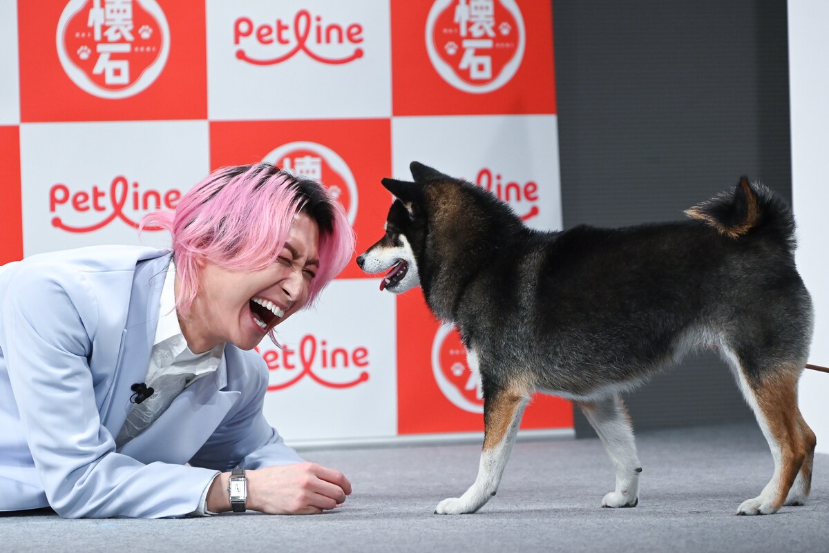 ◤ ペットライン発表会レポ ◢ Snow Man佐久間大介 ウメちゃん＆シエル