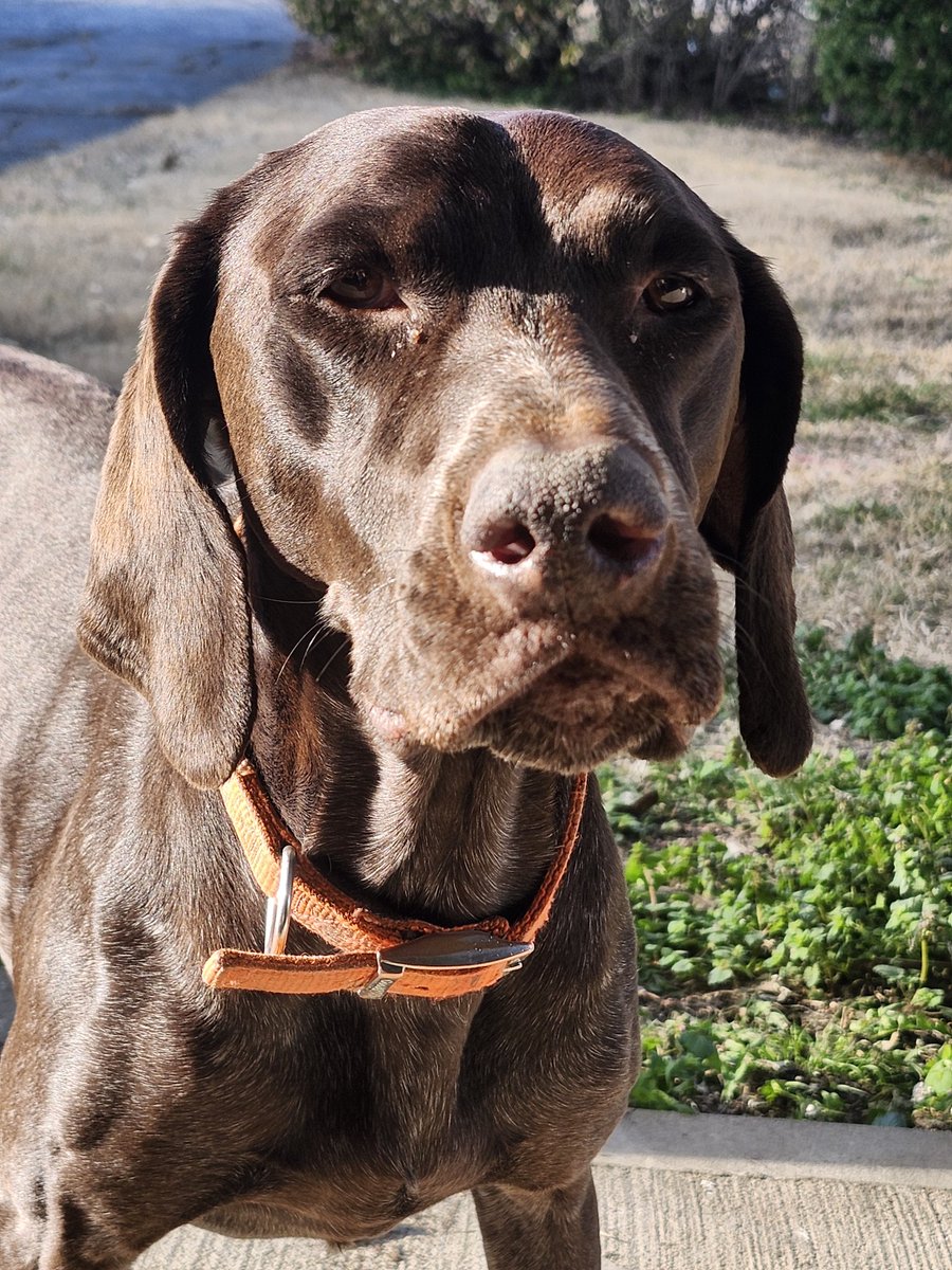 Bonerjiggler tweet media