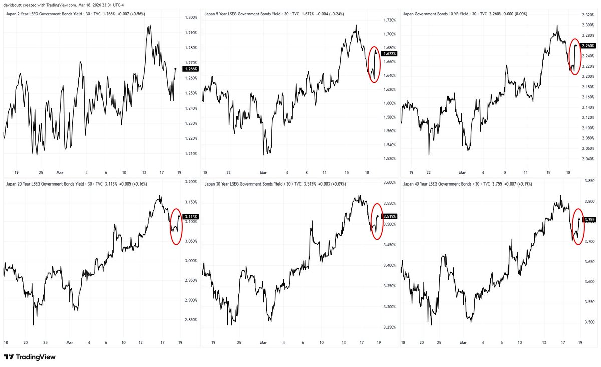 David Scutt tweet media