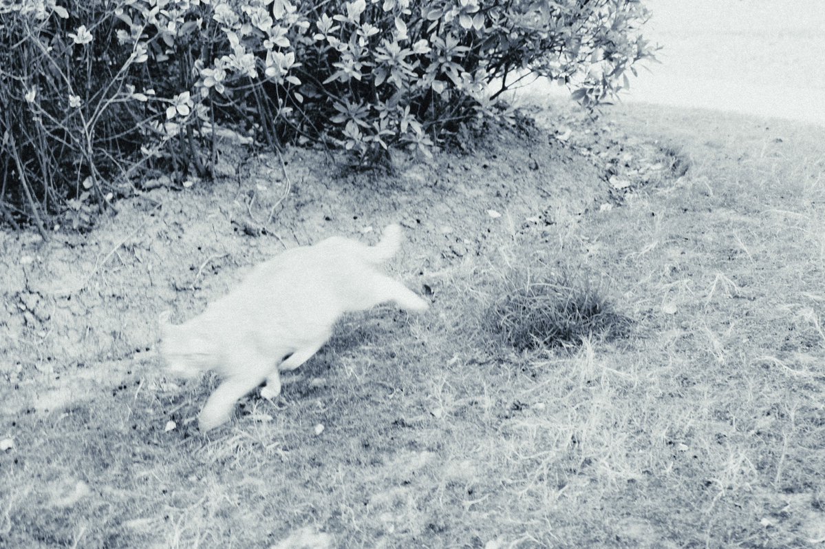 💦爆 漿 魷 魚🐙 tweet media