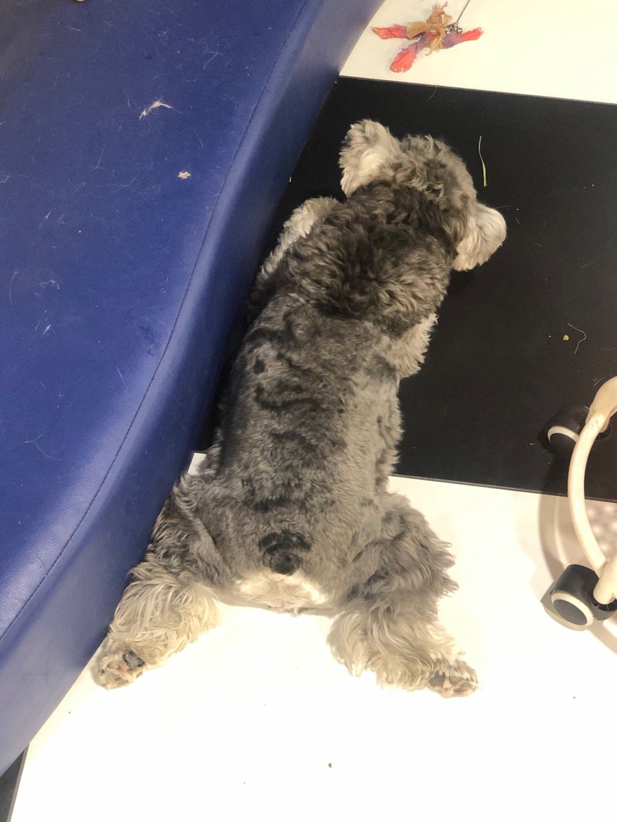 helene de clercq tweet media