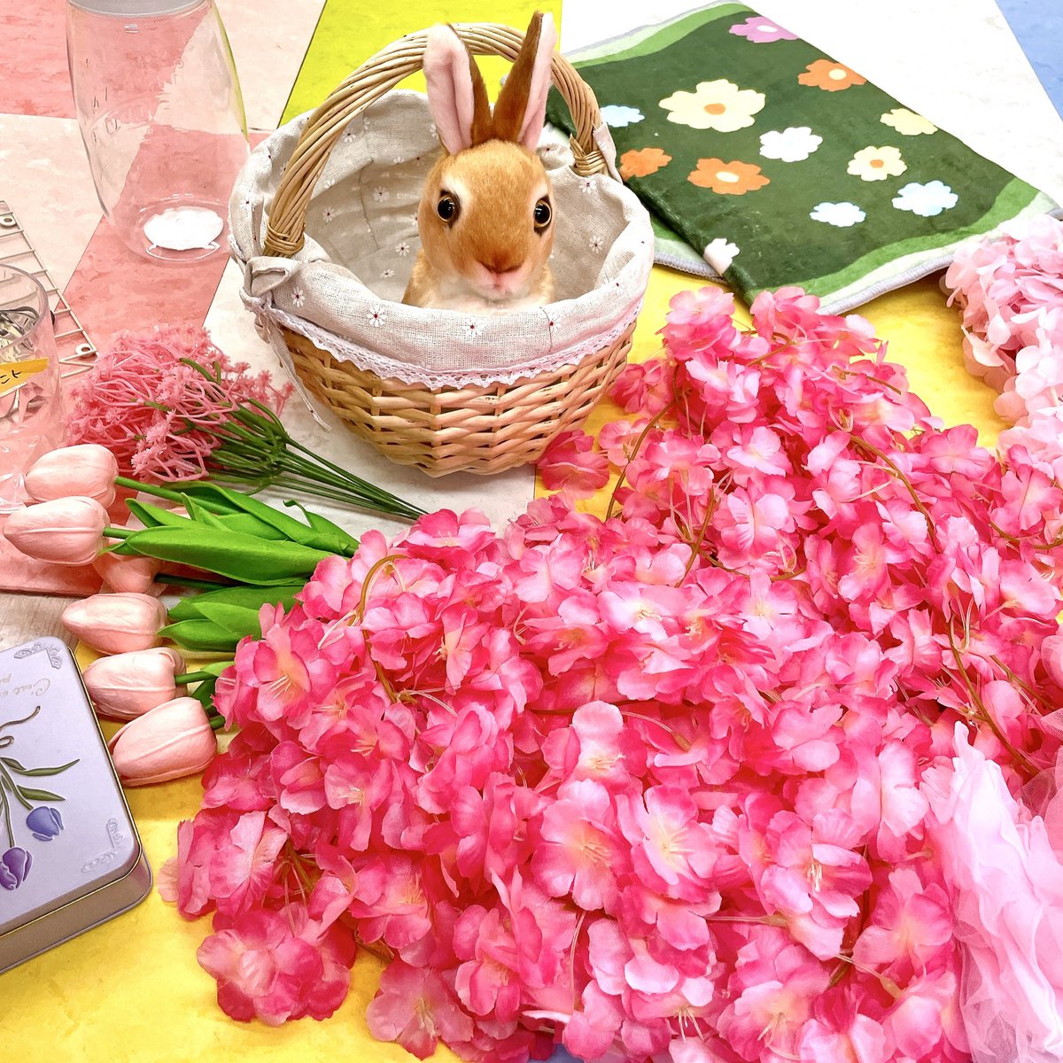 格安レンタルスタジオ♪Fresh!Studio（フレッシュスタジオ） tweet media