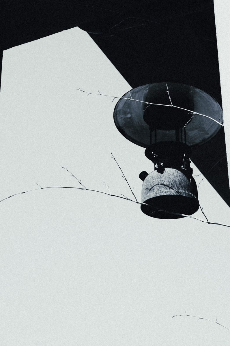 💦爆 漿 魷 魚🐙 tweet media