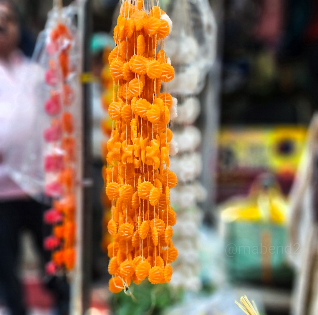 Manda Bendre 🇮🇳 tweet media