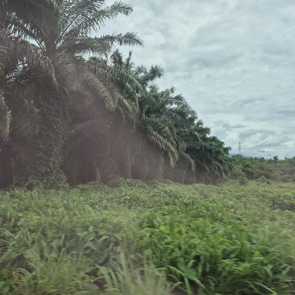 Alicia Alveria CF BOOTH AD03-04 ✨️ tweet media