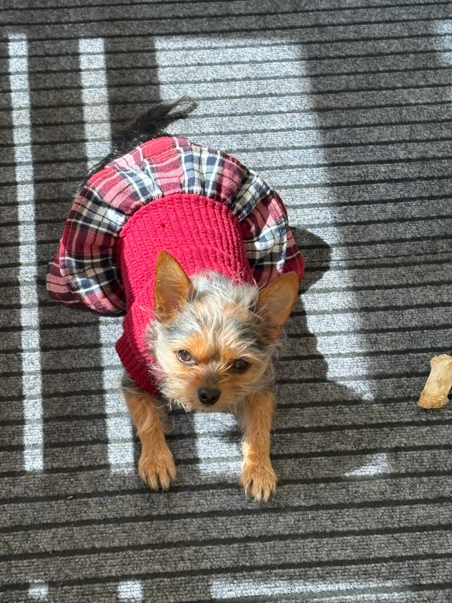 合同会社エースプランニング tweet media