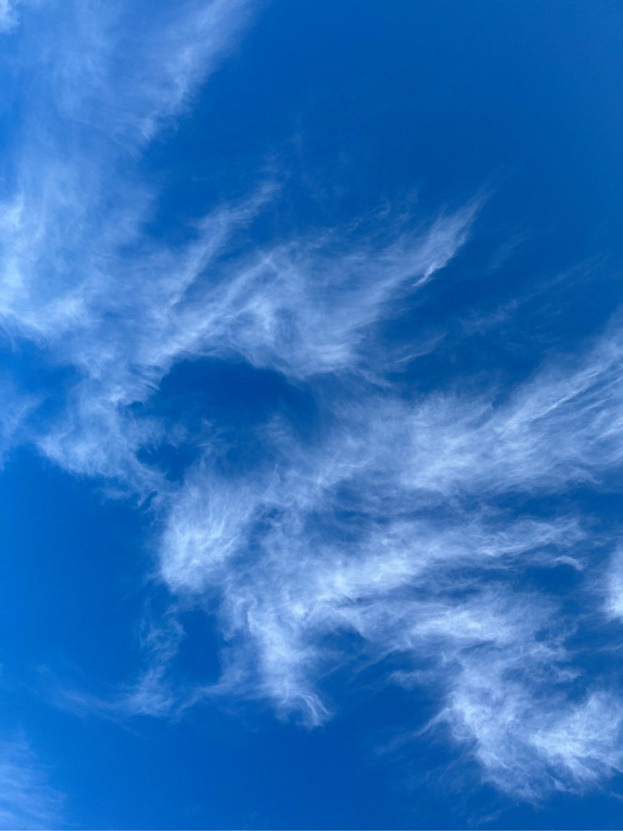 andrea gamboa tweet media