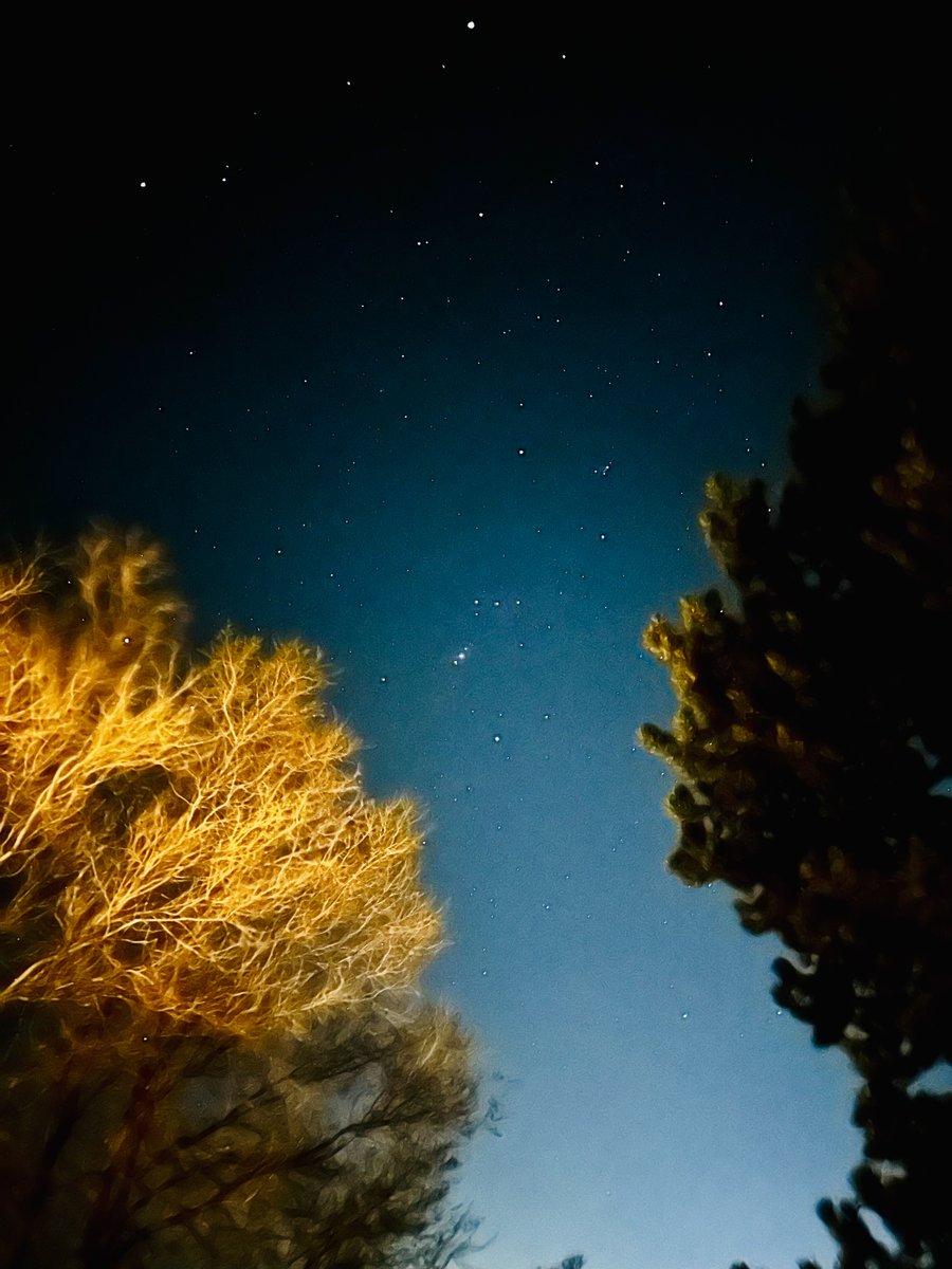 Joan Halifax tweet media