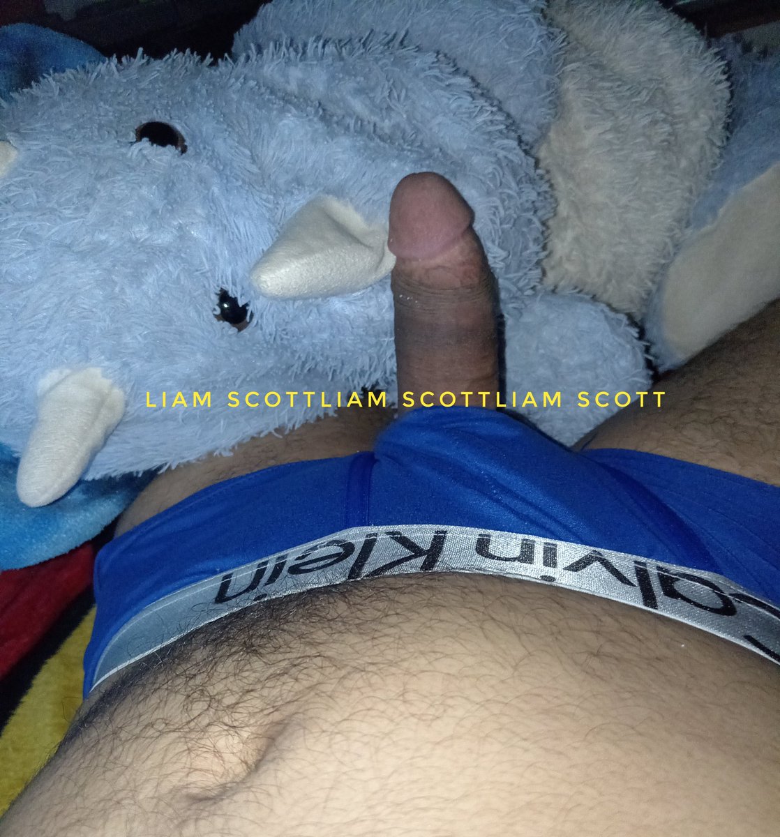 AxelRam97329425's tweet photo. Que hace.

Quieres ser el peluche..,??? https://t.co/LzdPzht4YO