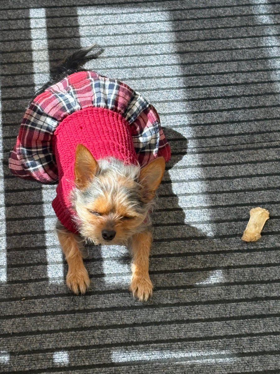 合同会社エースプランニング tweet media