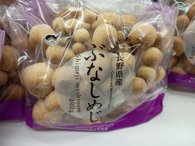 色々キノコあったので撮ってKINGへ送りつけましょうかね(✿' ꒳ ` )b