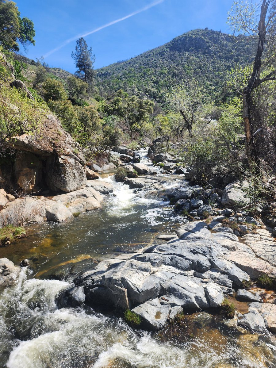 hey yall I am alive and feeling better to tackle streaming again