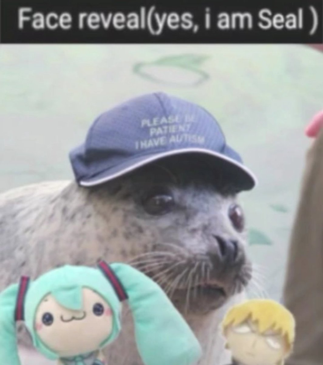 DnzL_08 :) 🇲🇽 ||💙🤍 tweet media