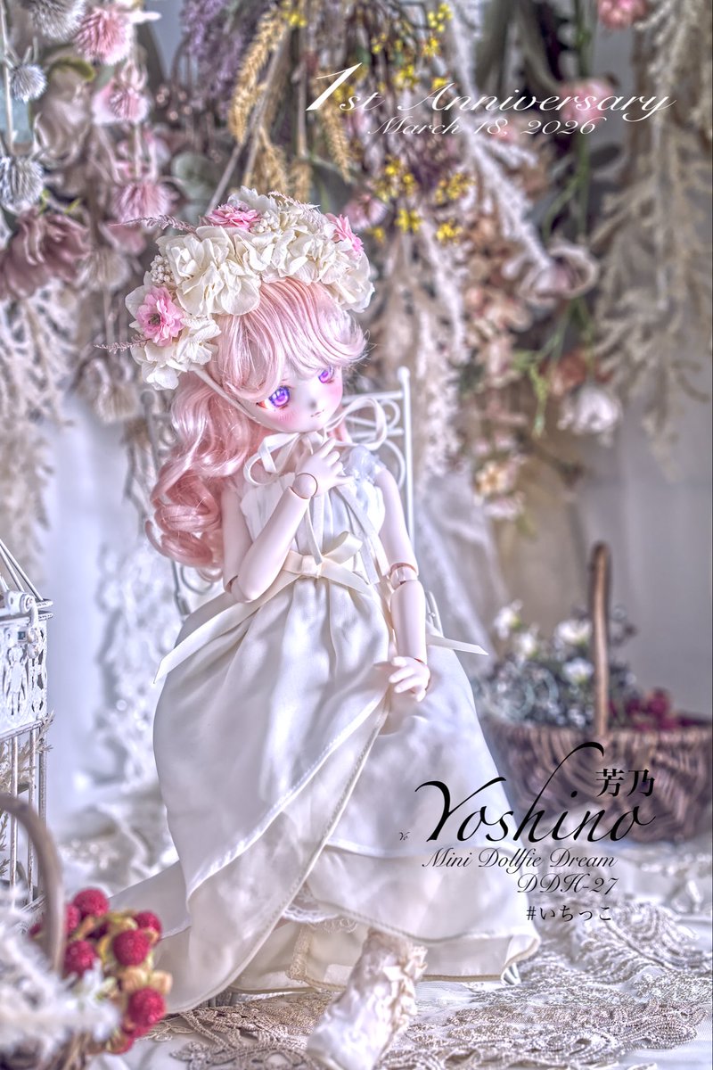 りせちー (doll , travel and other) tweet media