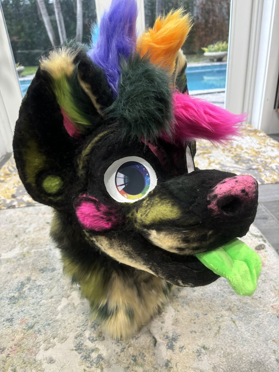 🦎🛸🧪🦕 tweet media