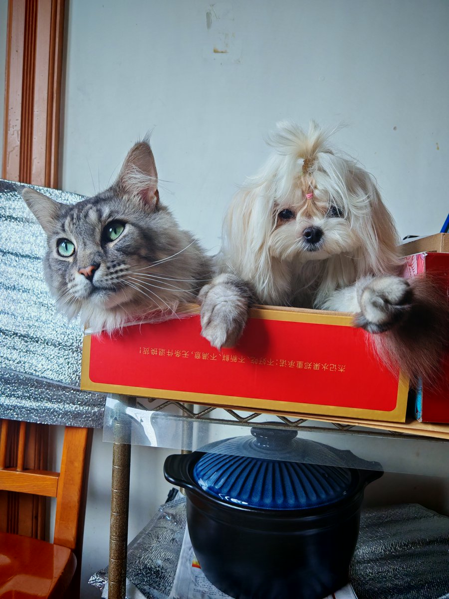 BRIEL MARTINE tweet media