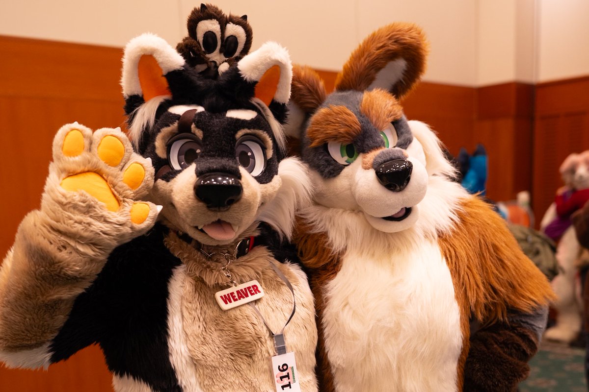 なるどん tweet media