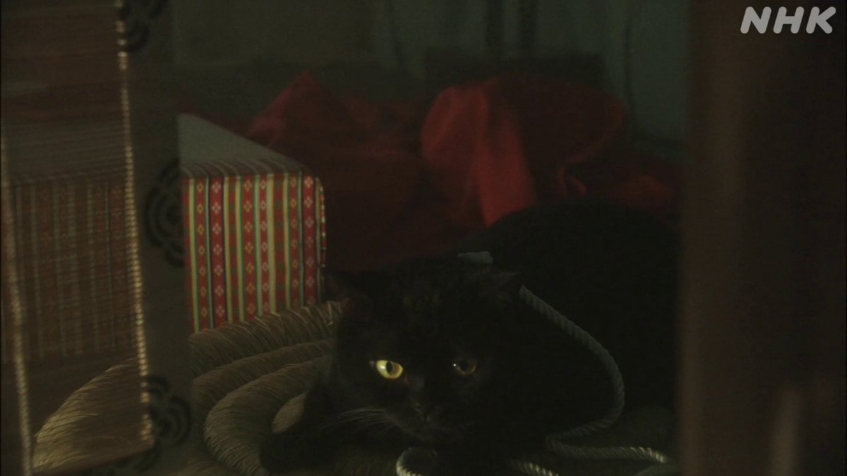 ginto_gin's tweet photo. Cats of Taira no Kiyomori! Heian period taiga drama often feature cats as beloved palace pets. Black cat on the left is Tamako's pet cat. Calico cat on the right is Norikiyo's family pet cat. Ep.10 https://t.co/XeexEZw73H