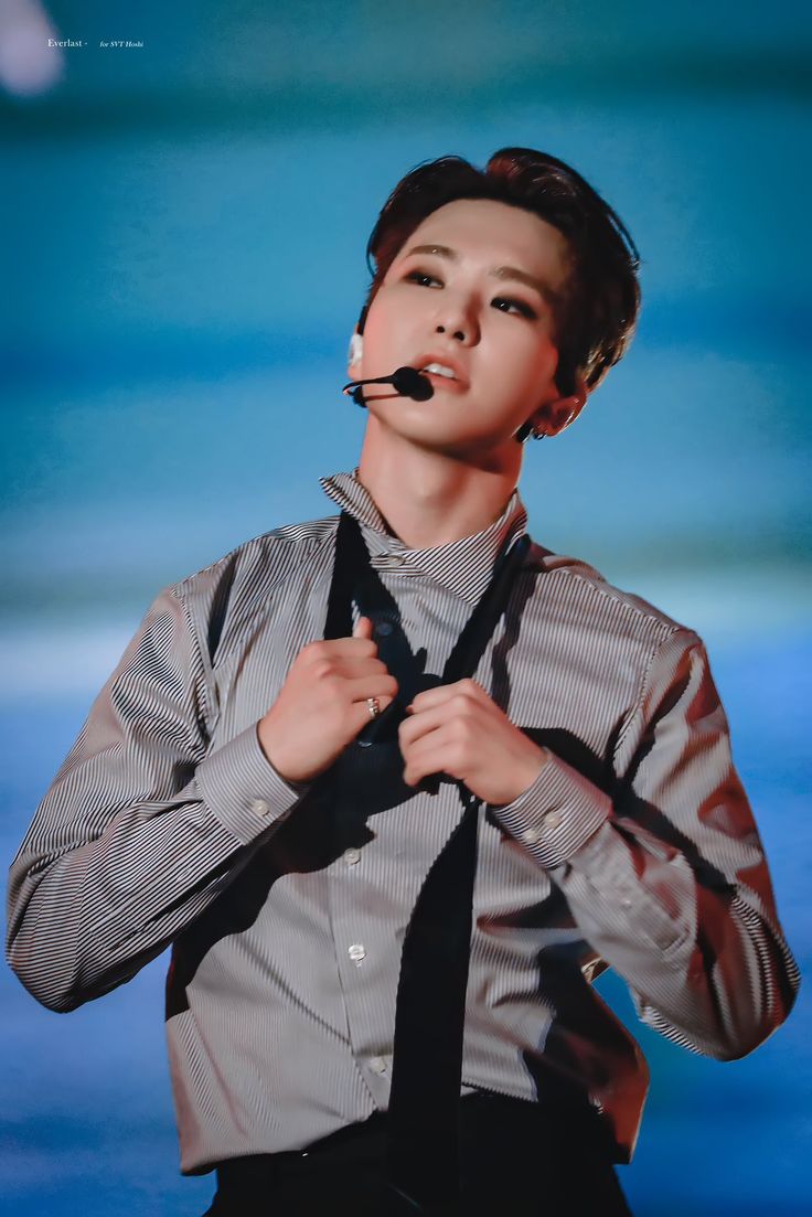 hourly hoshi tweet media