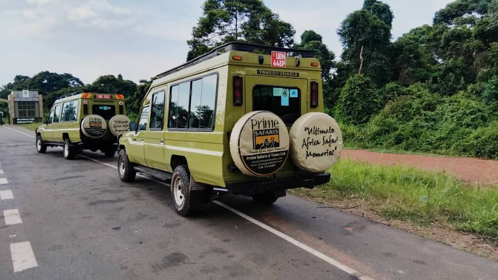 Kibale Forest National Park tweet media