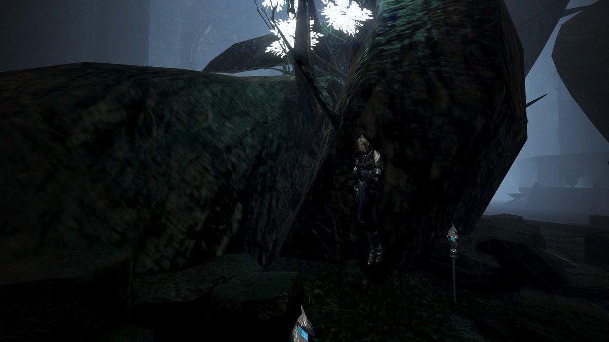 継ぎ枝の照らす月夜

#黒い砂漠PC #黒い砂漠SS部