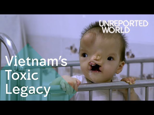 Epstein's Baby tweet media