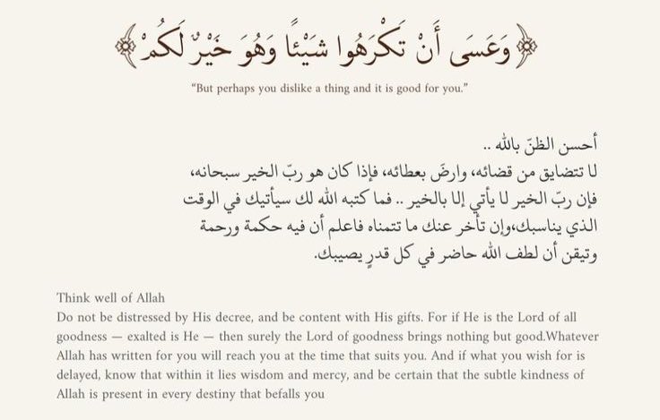 mxss_mm's tweet photo. عنوان صباح اليوم : https://t.co/nuDOtQMUdk