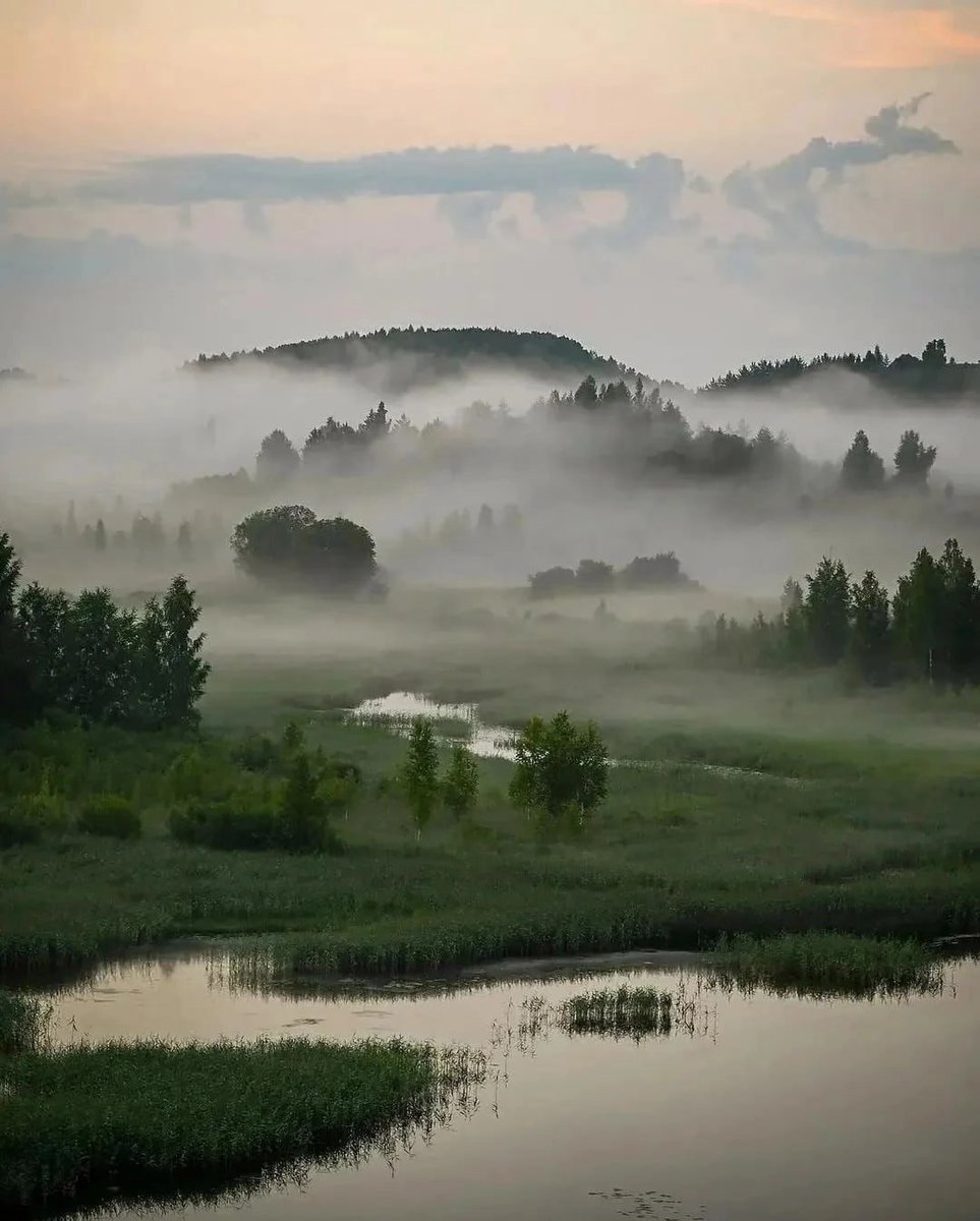 Anna Daryush 🌐 tweet media