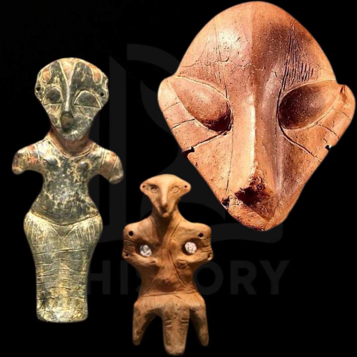 History Content tweet media